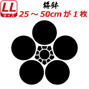 Ɩ XebJ[ ~ XebJ[ 25`50cm  N} gbN X[cP[X oCN ~ 퍑    h   V[