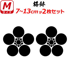 Ɩ XebJ[ ~ 2Zbg XebJ[ 7`13cm \D  N} B oCN wbg ~ 퍑    h   V[ X}z