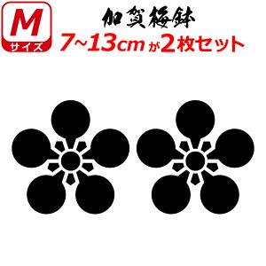 Ɩ XebJ[ ~ 2Zbg XebJ[ 7`13cm \D  N} B oCN wbg ~ 퍑    h   V[ X}z