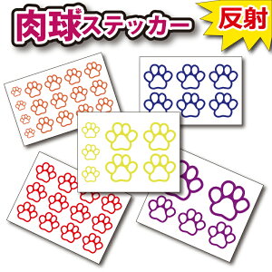     XebJ[  L  ]  oCN Ȃǂ 킢