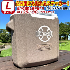 ʉʂȃN[[{bNXɂ\IS2 ! DȕEZ XebJ[ V[ LTCY2Iׂ鏑̂ƃJ[ƃTCY@ N[[{bNX ԂȂǂ