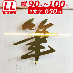 ꕶ琻 ~[ I[_[Ch XebJ[ ѕM  LLTCYc9`10cm IWi  oCN