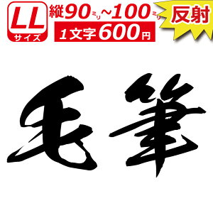 ꕶ琻  I[_[Ch XebJ[ ѕM  LLTCYc9`10cm IWi  oCN