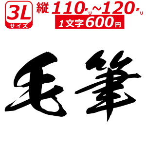 ꕶ琻 I[_[Ch XebJ[ ѕM  3LTCYc11`12cm IWi  oCN