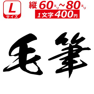 ꕶ琻 I[_[Ch XebJ[ ѕM  LTCYc6`8cm IWi  oCN