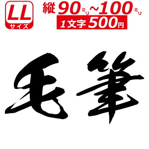 ꕶ琻 I[_[Ch XebJ[ ѕM  LLTCYc9`10cm IWi  oCN