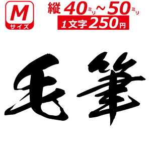 ꕶ琻 I[_[Ch XebJ[ ѕM  MTCYc4`5cm IWi  oCN