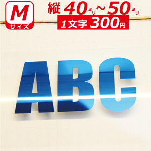 ꕶ琻 ~[ I[_[Ch XebJ[ p   MTCYc4`5cm IWi  oCN