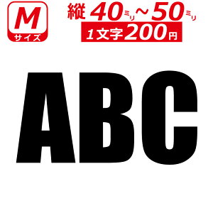 ꕶ琻 I[_[Ch XebJ[ p   MTCYc4`5cm IWi  oCN