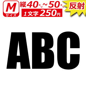 ꕶ琻   I[_[Ch XebJ[ p   MTCYc4`5cm IWi  oCN