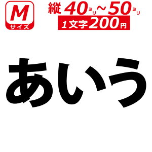 ꕶ琻 I[_[Ch XebJ[ ʏ  MTCYc4`5cm IWi  oCN