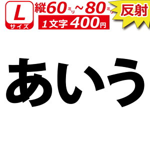 ꕶ琻  I[_[Ch XebJ[ ʏ  LTCYc6`8cm IWi  oCN