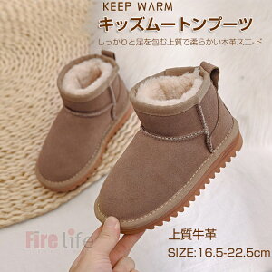 qu[c [g[u[c N ㎿{v Xm[u[c qC XL[ j̎q ̎qJWA g |A EC^[u[c E֗ H~ AEghA V h ɂ