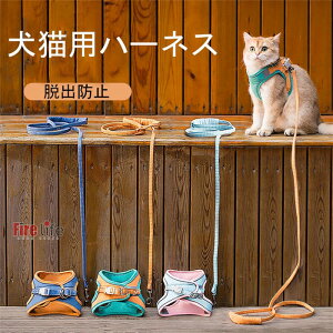 Lpn[lX p [ht ybgpi xXg Lbgn[lX [v  o U }WbNe[v lRpi  