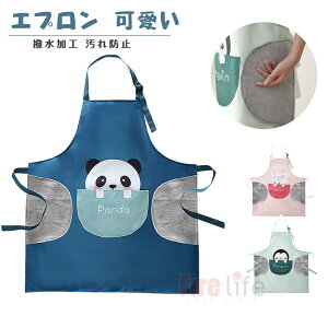 Gv hf h  Gv p_ ETM yL[ u[ O[ sN  v[g | pI Mtg Vv  Lb` ƒ뗿 wZ h~ [