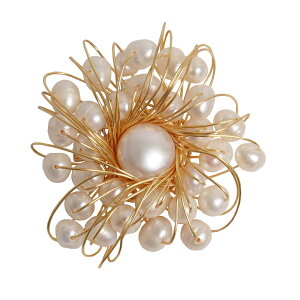 p[ u[`  VRW^  XJ[ts Ă΂ w Ǝ Zj[ ܎O JWA Xg[ANZT[ p[eB[hXʔ́yy_yjcƁzy