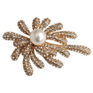 ꗱp[u[` w Ǝ   CXg[  XJ[ts fB[XANZT[ WG[ Zj[ Ӊ Ă΂ p[eB[hXʔ́yy_