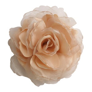 RT[W u[`  w Ǝ t[AWg wANbvti  u[`  Ӊ \ ܎O Zj[X^CɃsb^yy_yjc