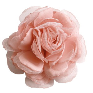 RT[W u[`  w Ǝ t[AWg wANbvti  u[`  Ӊ \ ܎O Zj[X^CɃsb^yy_yjc