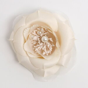 RT[W u[` t[AWg  w Ǝ wANbvti  u[`  Ӊ \ ܎O Zj[X^CɃsb^yy_yjc