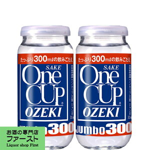 兵庫県 大関 ワンカップ ジャンボ 日本酒 価格比較 価格 Com