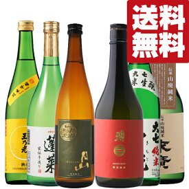 【送料無料・日本酒　セット】金賞受賞＆ファーストクラス採用　リピーターの多い名門蔵の看板酒　飲み比べセット　720ml×6本(北海道・沖縄は送料+990円)