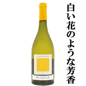 yԂ̂悤ȖFIz@Vg[@yXLG@Vhl@@750ml(1-V2323)