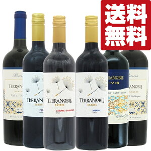 yEC@ݔ׃Zbgz@`ŗDGCi[ɑI΂ꂽuemuvV[Y̐ԃC@750ml×6{Zbg(kCE͑+990~)