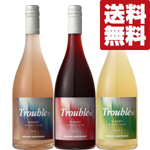 【送料無料・ワイン 飲み比べセット】 南仏のワインヒットメーカーが造る!旨みが凝縮された珍しいにごりワイン 750ml×4本セット(北海道・沖縄は送料+990円)