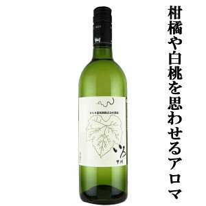 yRYIt[eB[ȃA}ƐSn悢ʎIz܂邫@@bB@@h@750ml(1-W529)