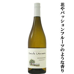 yԂpbVt[ĉ悤ȍIz@TgEIJfB@JfBIX@u@@h@750ml(1-V850)