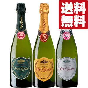 yEC@Zbgz@EōłGKgȃXp[NOCI@W[O[g@750ml×3{ݔ׃Zbg(kCE͑+990~)