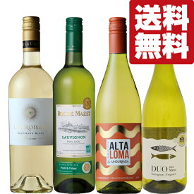 【送料無料・ワイン 　飲み比べセット】柑橘系果実の爽やかな香り！ソーヴィニヨン・ブランを使った金賞受賞ワイン　白　750ml×4本(北海道・沖縄は送料+990円)