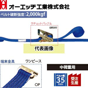楽天市場 Oh オーエッチ工業 荷締機 ラッシングベルト Lbr300 Op10 30op ラチェットバックル 端末金具 ワンピース ベルト長さ 固定側1 巻取側3m 受注生産品 セミプロｄｉｙ店ファースト