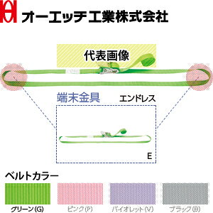 OH(オーエッチ工業) 荷締機 ラッシングベルト ラチェットタイプ SR70E-G ベルトカラー:グリーン(G) 端末金具:エンドレス ベルト長さ:固定側4/巻取側-m