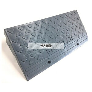 �A���I �X�e�b�v�v���[�g SP-10G (102×275×650) 6�� AR-4090 [�@�l����]