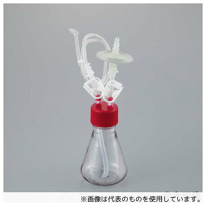 AY CC036250-A2 |{OptXRN[YhVXe 250mL ŋۍ 1(6)