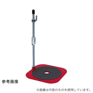 ebN21 LK-119CP ΊX^hXgbp[CP