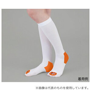 irX(AY) eXgbLO(~ߕt) nC\bNX SS