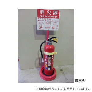 ebN21 WB100P ΊXgbp[P