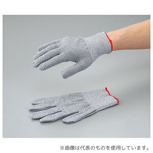 Ag HG-77 ϐؑn(XyNgK[h 13G) S