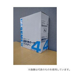 Jȍs 245335 ŋێڊpK[[(uX^[ AJ) 4 5×20