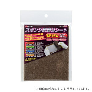 V 1073995 TKG X|WރV[g ~fBA