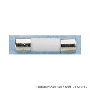 Littelfuse 0216001.MXP ���e���q���[�Y �Z���~�b�N�ǃq���[�Y 1A (���f�^) 216�V���[�Y 5x20mm 5 x 20mm 250V ac 1��(10��)