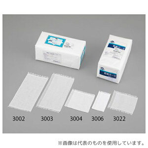 A|q 3006 ڊpK[[ Wi[[ 8b 300×300mm 300