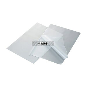 AYsA(AY) AYsAESDNA~l[gtB A4 100