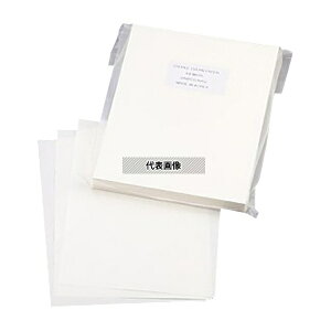 AYsA(AY) AYsAŋۃN[y[p[ A4  2500