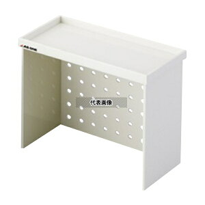 AY DS1-P htgI(UT-Lab.)