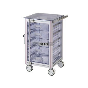 irX(AY) TS-SE XPg~}J[g