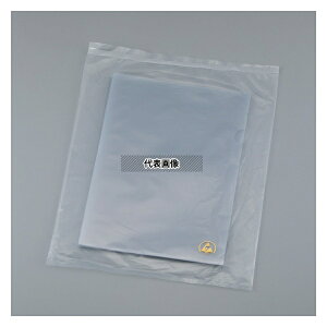 AYsA(AY) SCC AYsAESDNAt@C A4 10(N[)